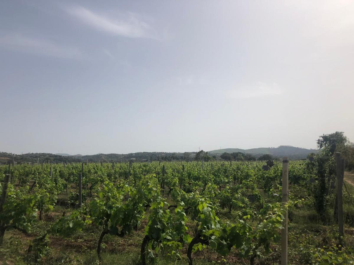 Agriturismo Donna Germana ชิโรมารีนา ภายนอก รูปภาพ